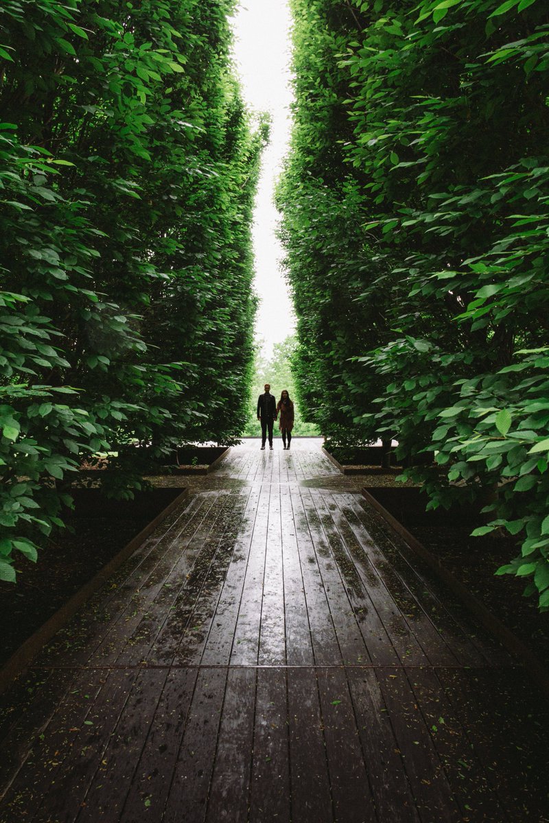 ilitch🇩🇴 tweet media