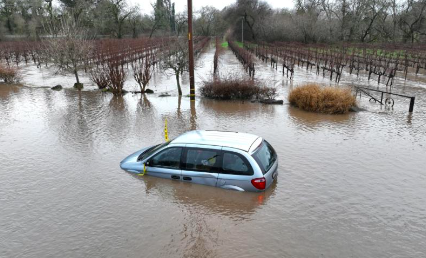 Sustainable LA @ UCLA tweet media