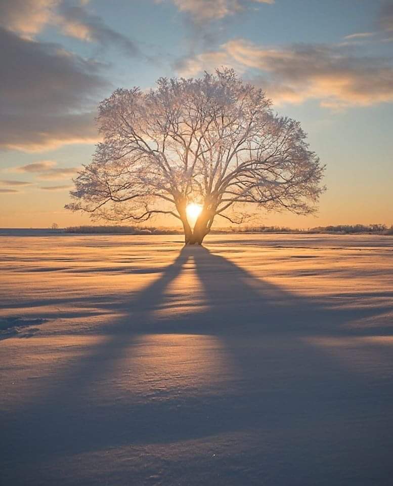 marika_lizi's tweet photo. Life is fragile, as is joy.
Every moment passes, it can never be brought back. Running out of time makes our minutes precious...
@JeremyRenner
#GetWellSoonJeremy
#withalltheloveofmyheart ❤️ https://t.co/5N2EJGKWKC