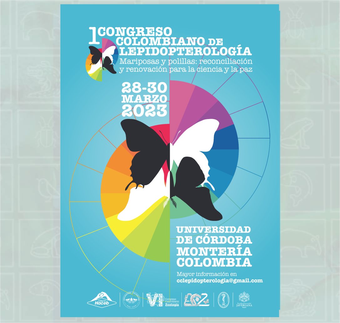 ACZColombia's tweet photo. En conjunto con @IndianaCristo y la @FundacionHaceb estamos brindando becas para los estudiantes interesados.

Para conocer más información, ingresa al siguiente enlace: https://t.co/ENt2nAYPEz 🦋

@Unicordoba_Col @UniJaveriana 

#CCZ #ACZ #VICCZ #LepidopteraColombiana https://t.co/wPwYeQ8H7D