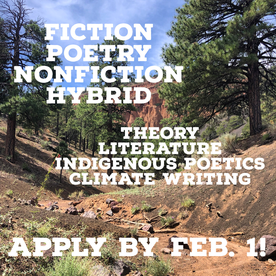 The MFA in Creative Writing at NAU tweet media