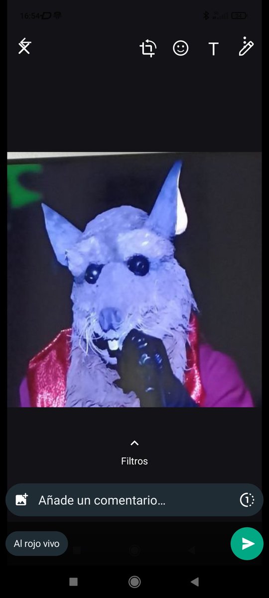 #MurgasSC2 lo mejor del concurso