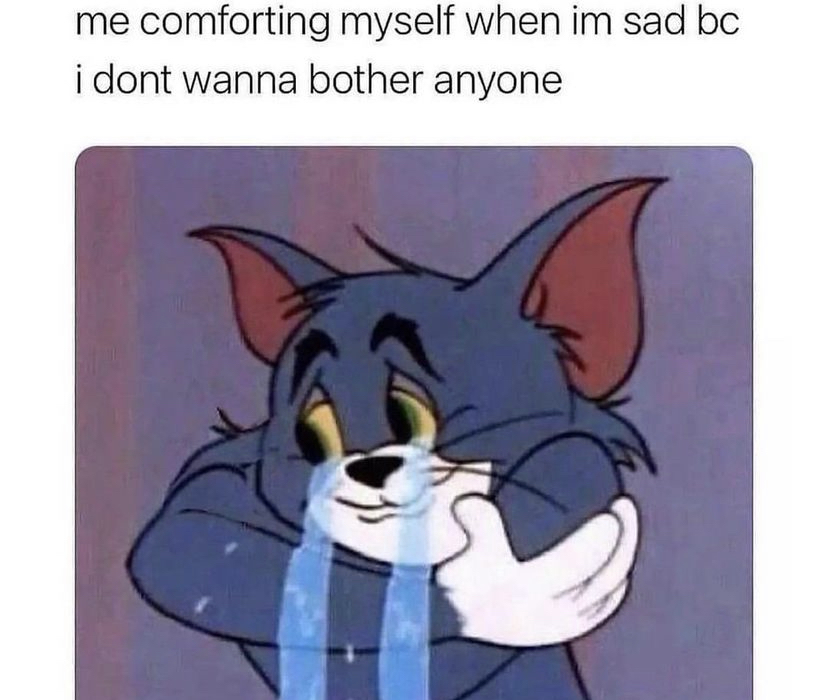 introvert memes (@introvertsmemes) on Twitter photo 