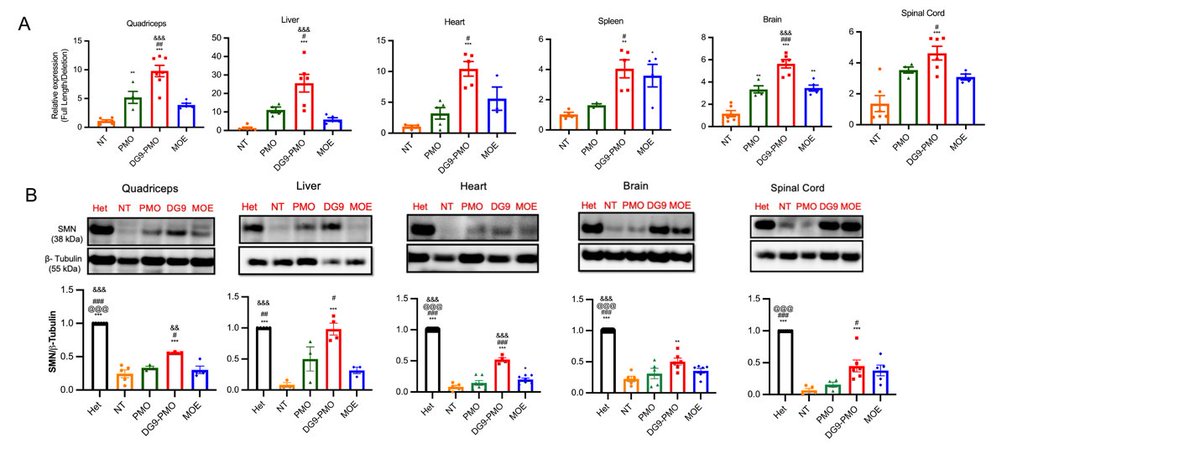 Prof. Toshi Yokota PhD FCAHS @MD_Canada Res Chair tweet media