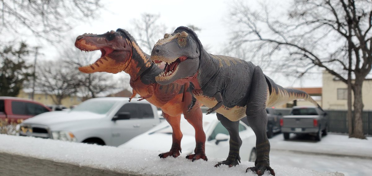 KaijuReaper's tweet photo. #ゴジラ #Godzilla #MonsterverseGodzilla #Monsterverse #Kaiju #BeastsoftheMesozoic #TyrannosaurusRex #Dromaesaurus #WalkingWithDinosaurs #Dinosaurs #Photography https://t.co/t2mrReANWl
