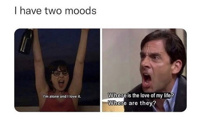 introvert memes (@introvertsmemes) on Twitter photo 