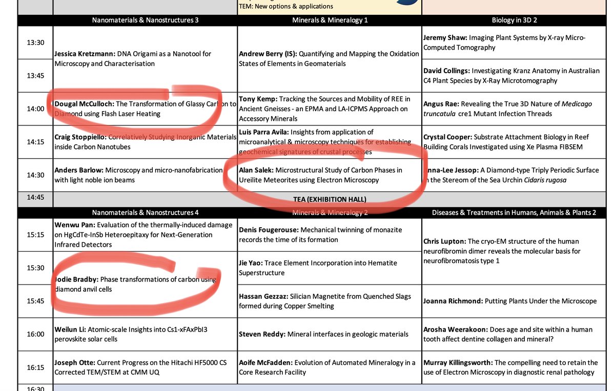 Prof Jodie Bradby tweet media