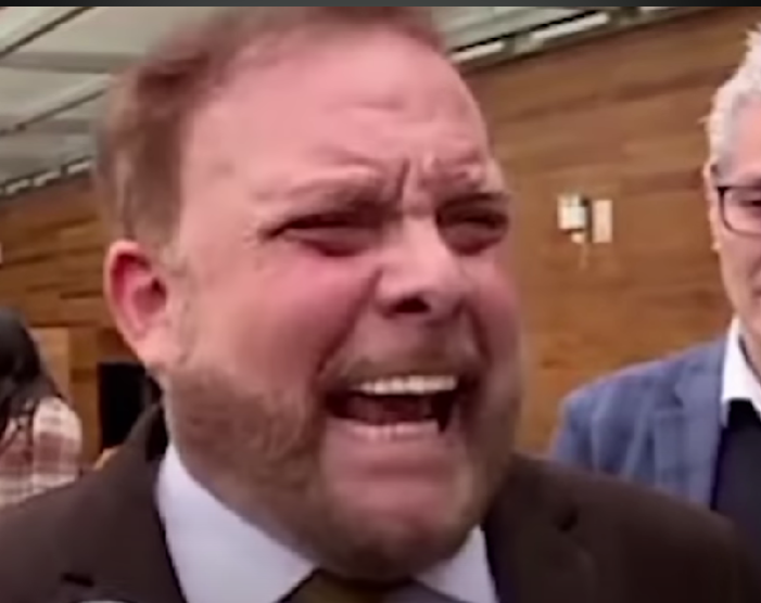 ₍ ᐢ..ᐢ ₎ tweet media