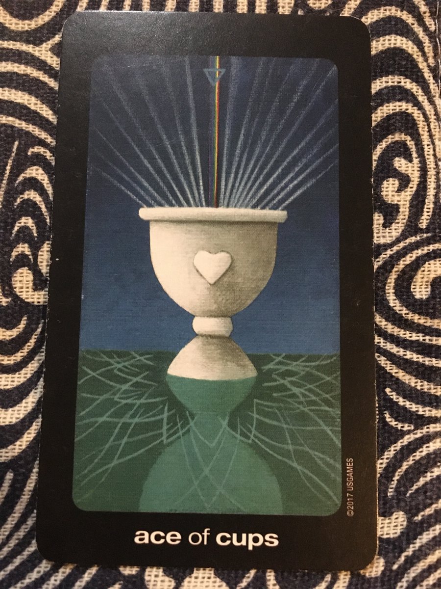 Tina Klein Walsh @tkleinwalsh@mastodon.social tweet media