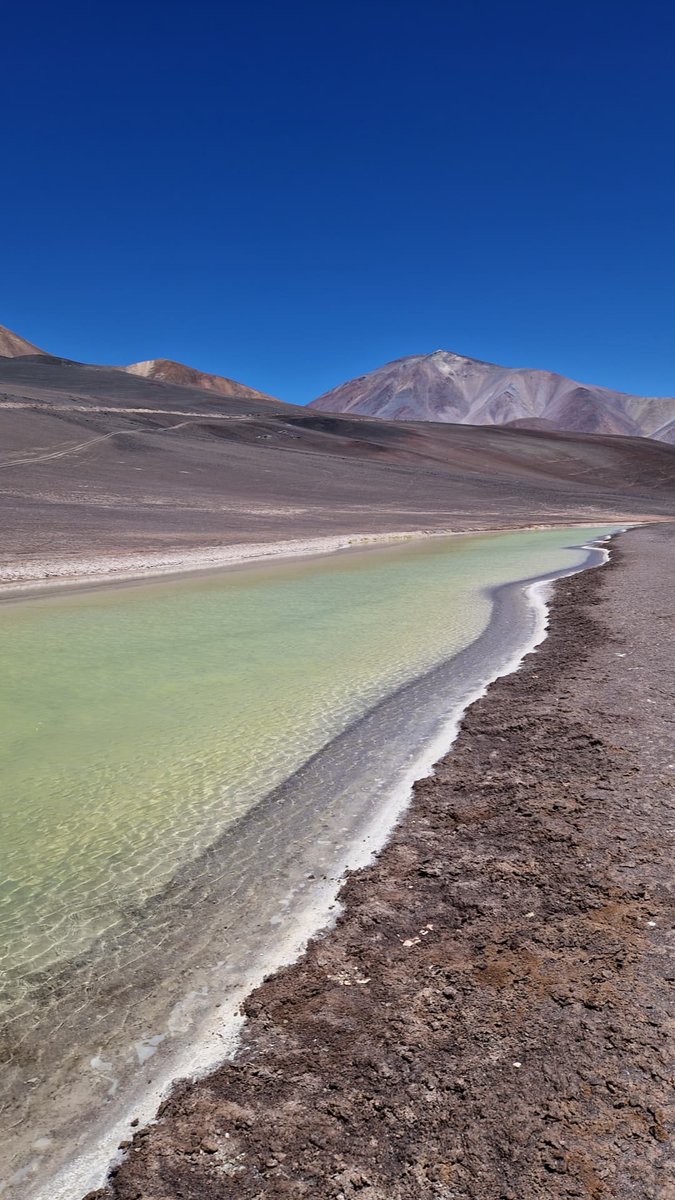 Lauren Queiss tweet media