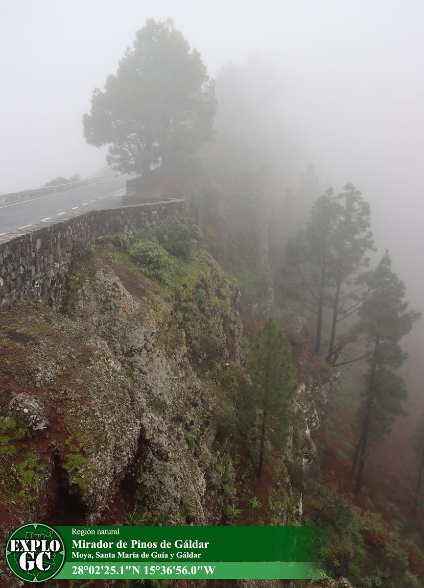 explogc's tweet photo. Región natural
Mirador de Pinos de Gáldar

Moya, Santa María de Guía y Gáldar
28°02'25.1"N 15°36'56.0"W

#explogc
https://t.co/MLhWAKPdf8 Explogc Gran Canaria https://t.co/mXtUutqzbY