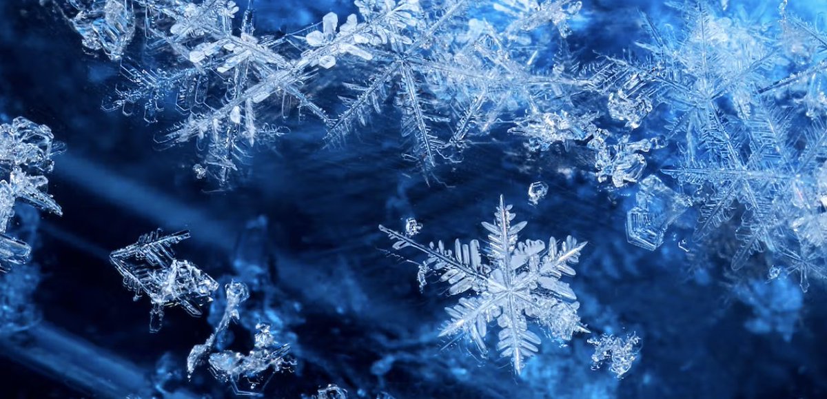 ⚠️ Due to inclement weather and hazardous road conditions, HCC will be operating remotely on Wed., Feb. 1. Students, check your KCTCS email and Blackboard for communication from faculty regarding your classes. Remote student services will be available: hopkinsville.kctcs.edu/cur.../virtual…