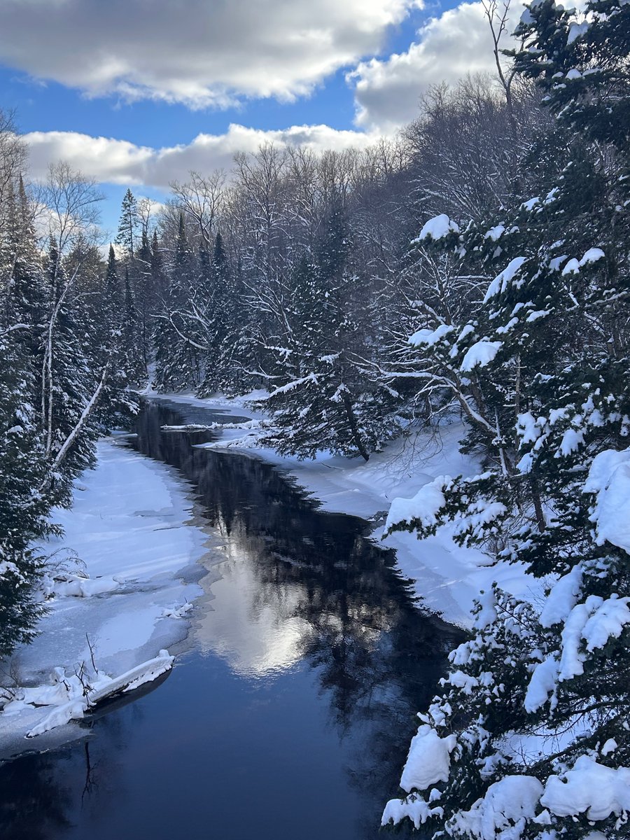 Allison Pang tweet media