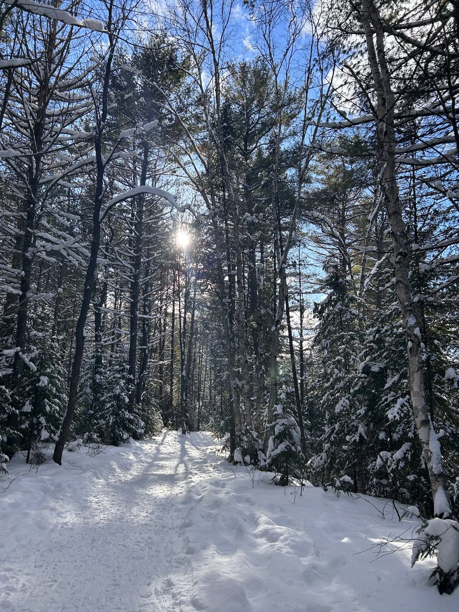 A beautiful few days <a href="/ArroPark/">Arrowhead Provincial Park</a>
