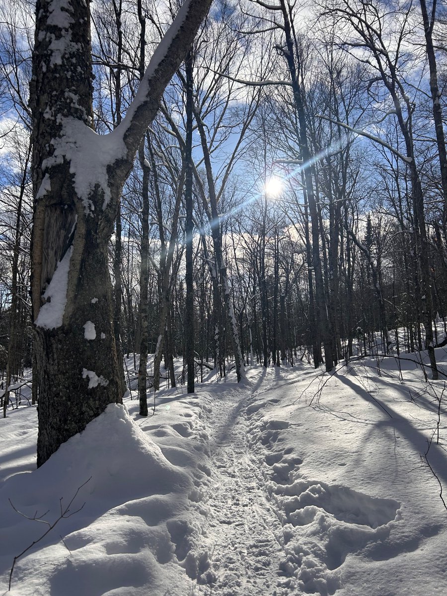 Allison Pang tweet media