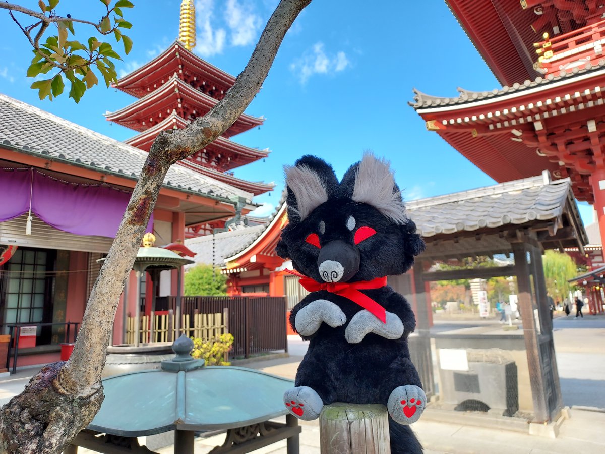sunnycritters's tweet photo. 🐾CRAFTY TRICKS PLUSH GIVEAWAY🐾

Two winners will receive Crafty Tricks the fox!!! Bring home this clever and cute boy!!

To enter:
🐾Retweet and Follow here or @littlesofts !
🐾Comment to tag a friend AND/OR tell us where in the world you'd love to travel with Crafty Tricks! https://t.co/pkbK4xVxoS