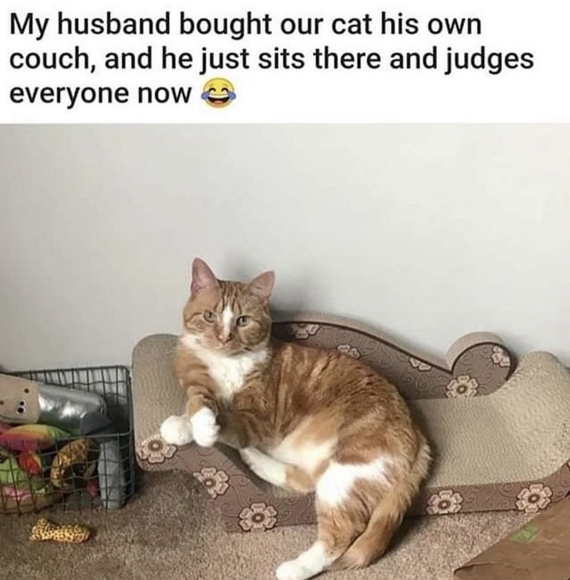 introvertsmemes's tweet photo. https://t.co/IPanCHYnB5