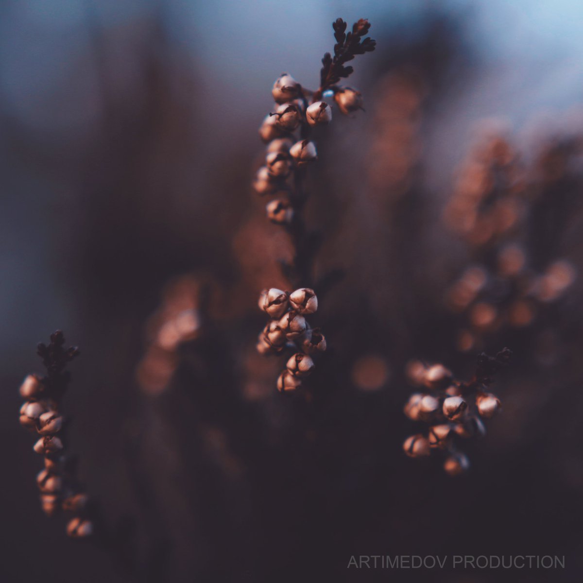 artimedov's tweet image. NFT postcard from digital collection: mera.wlbl.xyz by @Artimedov for digital investment. Exhibited via @rarible
 #nft #nftart #nftartist #nftdrop #art #cryptoart #raribleart #digitalart #cryptoartbuyers #nftphotography #nfts #cryptomarket #invest #artoftheday