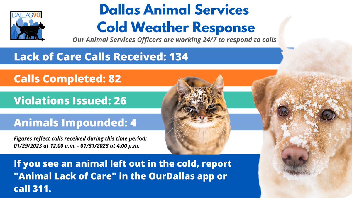 Dallas Animal Services (@DallasShelter) / Twitter Dallas Animal Services (@DallasShelter) / Twitter