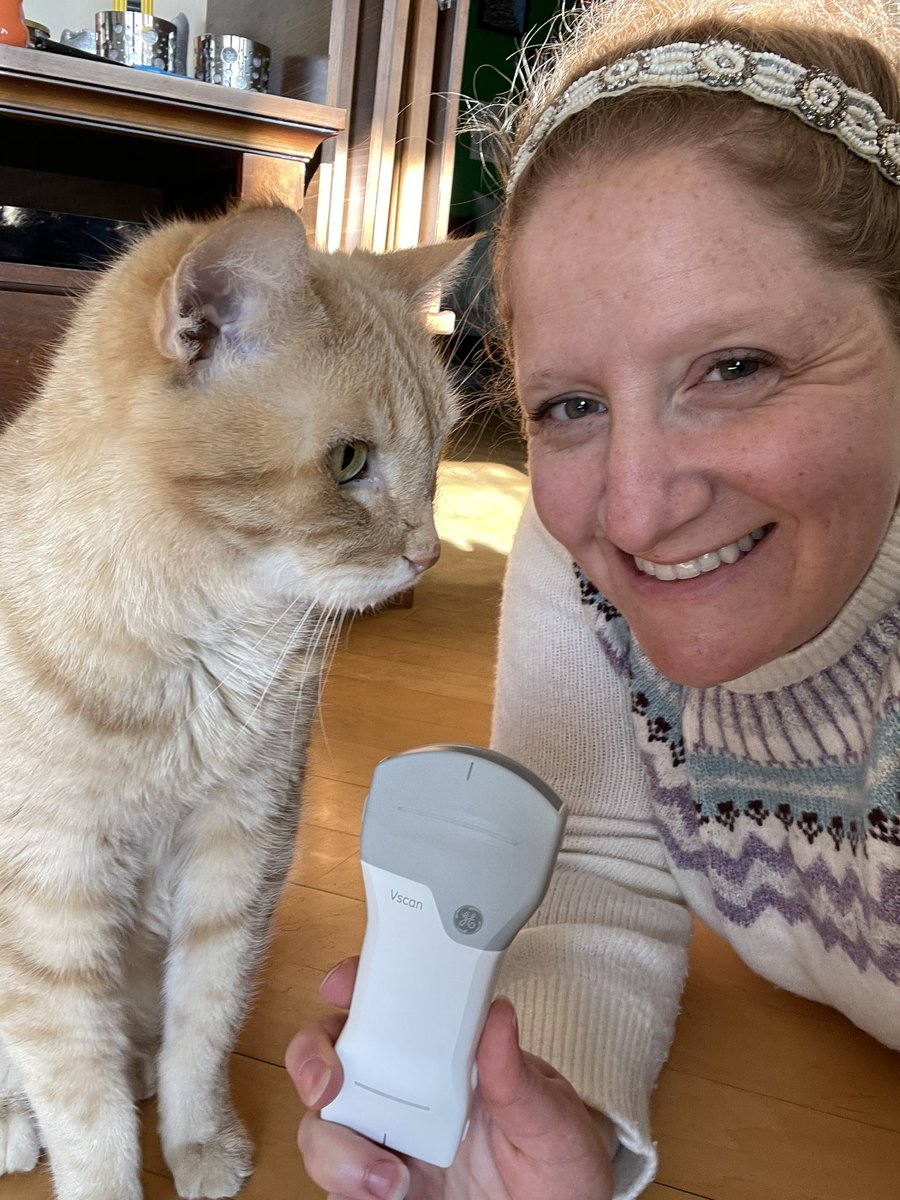 EmilyM_Fox's tweet photo. Pets are patients too! I’m excited to see our Vscan technology now accessible for our furry friends, like my Izzy (orange tabby) and Jack (brown tabby) who are important members of my family.
#FutureofHealthcare #Vscan #VscanPets #PetsOfGEHC https://t.co/2ehX6TzBEy