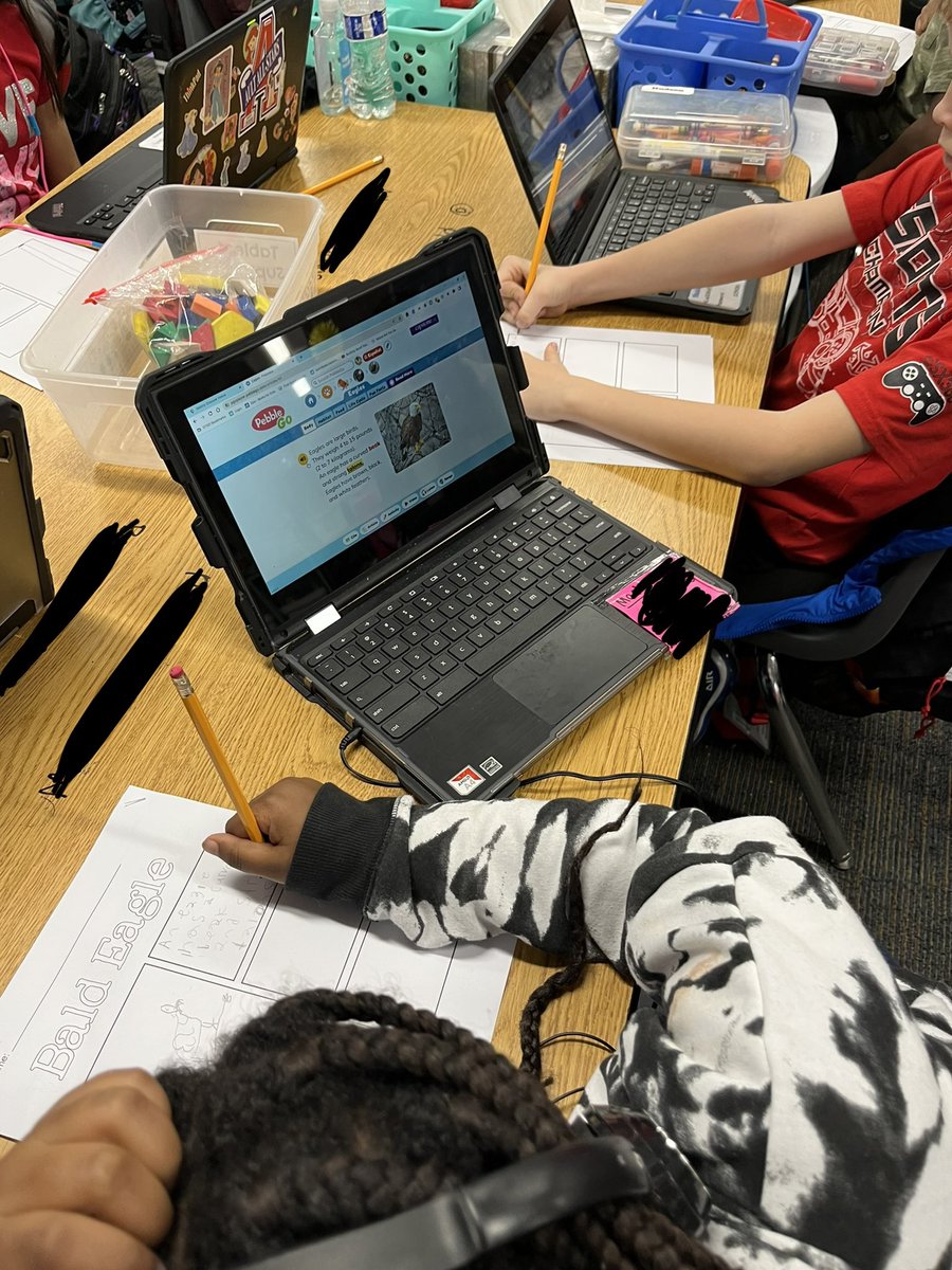 Vanessa Codd tweet media