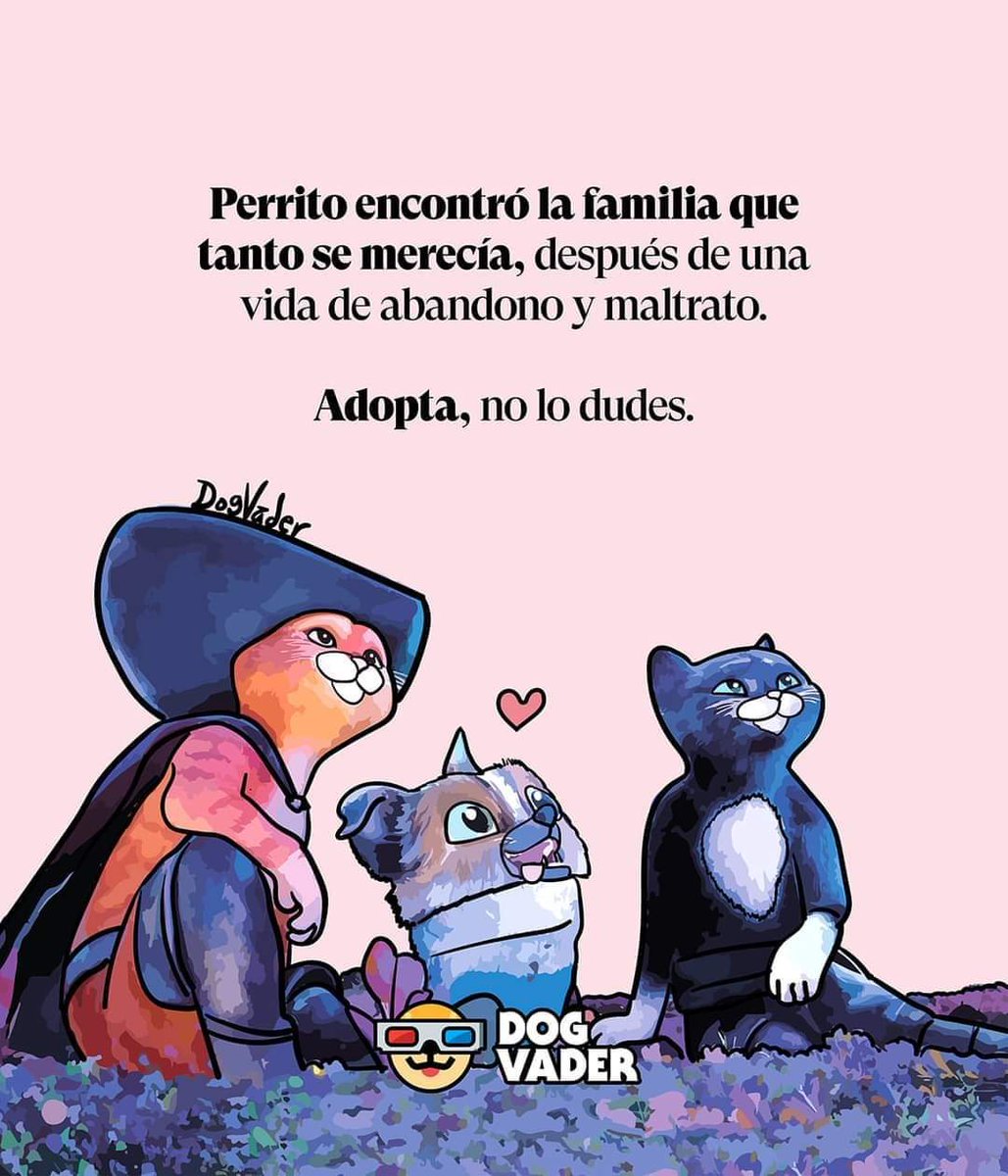 #Noalmaltratoanimal 

#AdoptaYSalvaUnaVida 

#AdoptaNoCompres