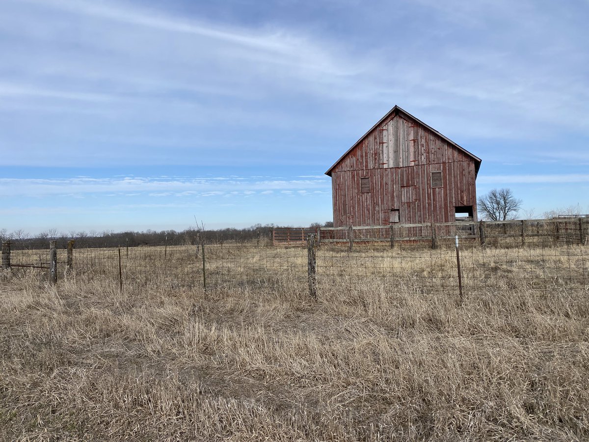 malachiobrien's tweet image. WHY AM I STILL RUNNING A MARATHON EVERYDAY &amp;amp; what is NEXT 🧵

30 minutes ago I finished my 117th daily consecutive marathon distance ran. 

3,065.4 + miles 

📸 - Taken on today’s marathon run