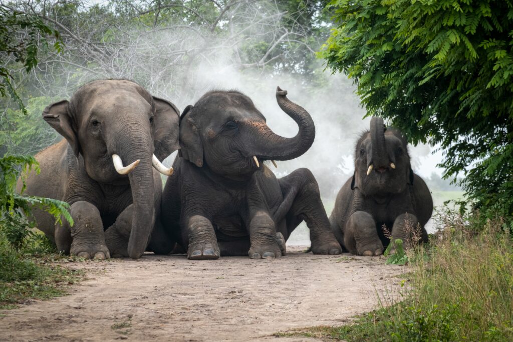 chistadata's tweet image. zcu.io/4VSO How are data block visits and undo implemented in PostgreSQL? #PostgreSQL #PostgreSQLDBA #PostgreSQLPerformanceTroubleshooting