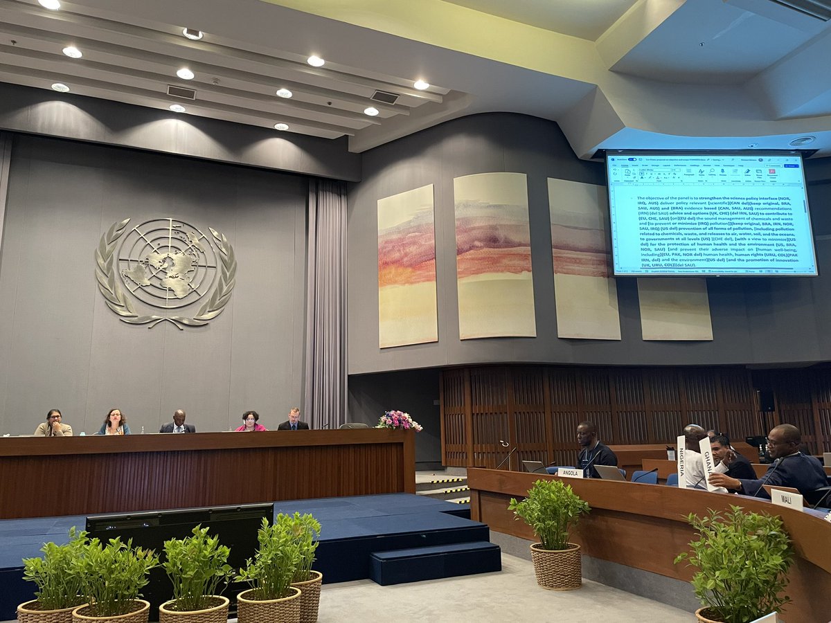 The international community is negotiating a so-needed science-policy panel to help countries, in particular developing nations, with the task of soundly managing chemicals and waste as well as preventing pollution.
