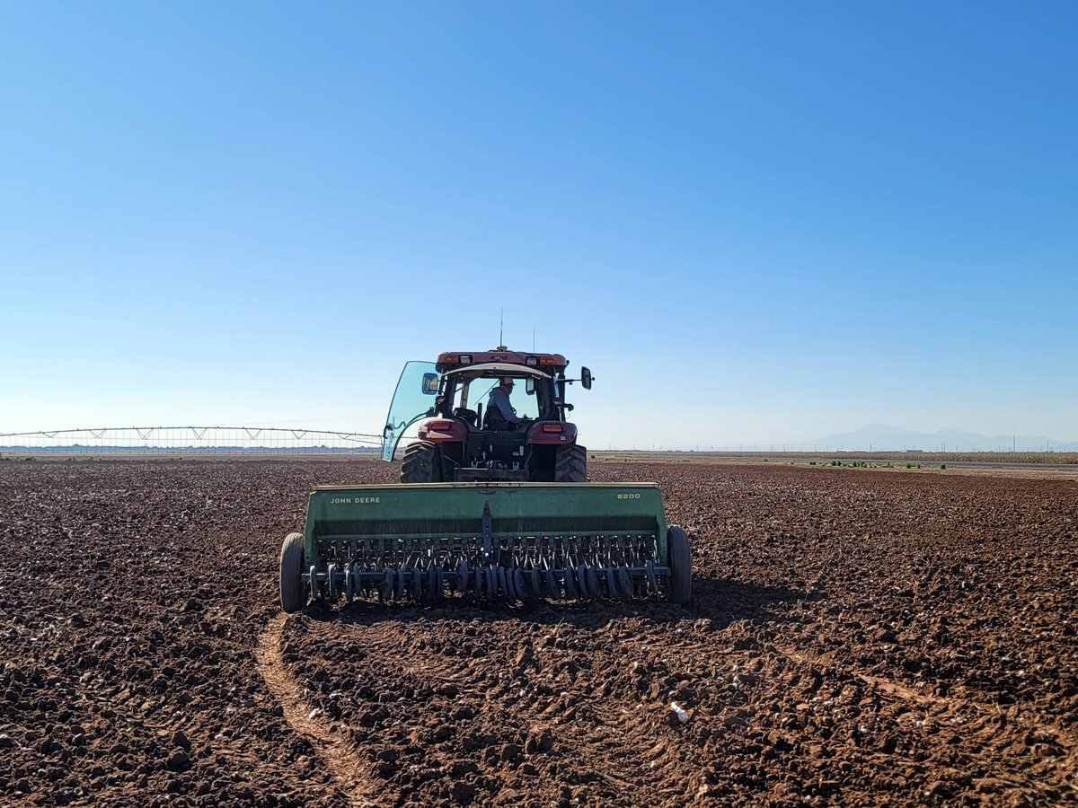 DebankurSanyal's tweet photo. Planting #covercrop following #cotton harvest... rains did delay the planting... but now we have #favabean and #barley on the ground! Yay!
My #first trial at Maricopa Agricultural Center!
#soilhealthextension
#SoilHealth https://t.co/hnKXQMKUtd