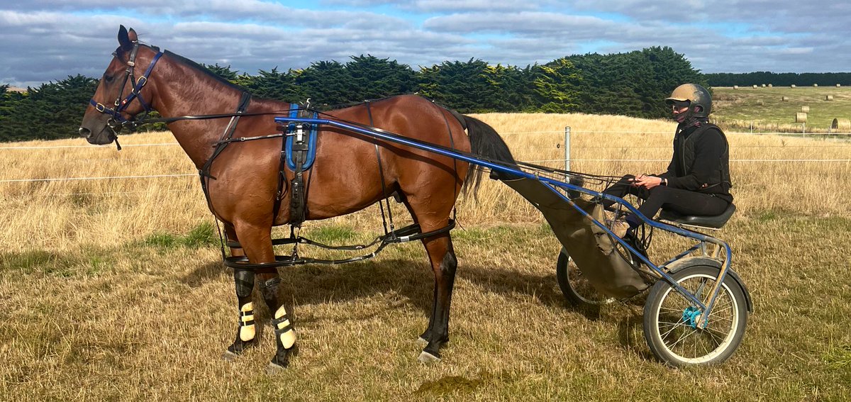 Larajay Farm tweet media