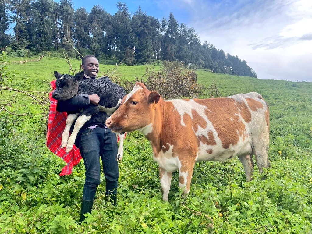 IBERE RYA BIGOGWE🇷🇼 tweet media