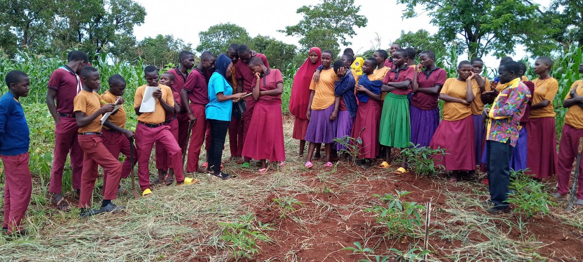 Imparting farming knowledge to young people is an efficient way of saving future generations from the hunger and famine crisis witnessed in many parts of Africa. These are students of Kimwanya Secondary School in Kitagata-Kasulu, Tanzania, learning from our Dream Team officers.