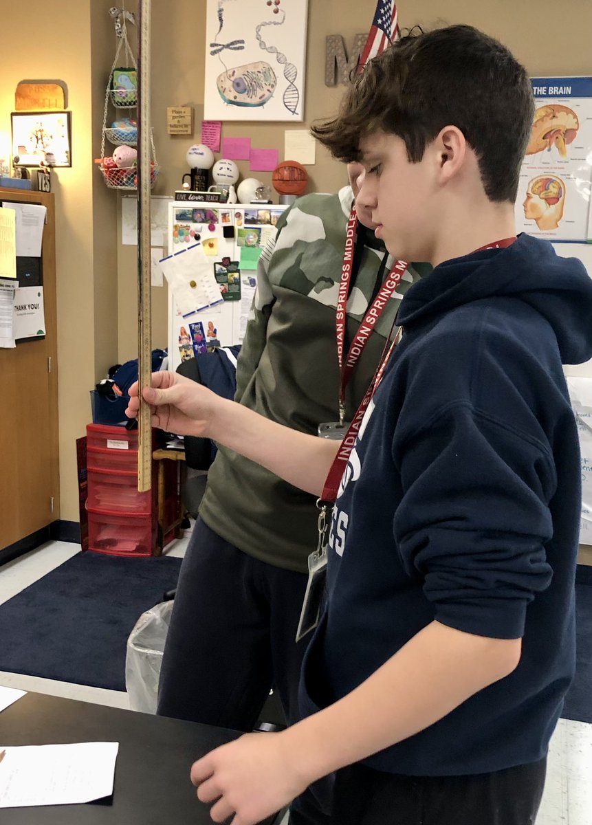 Diana Mitchell tweet media