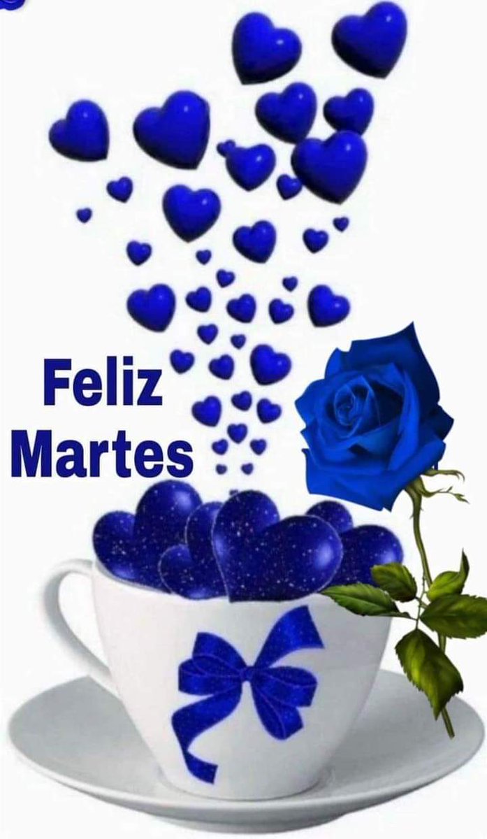 Bonita noche
