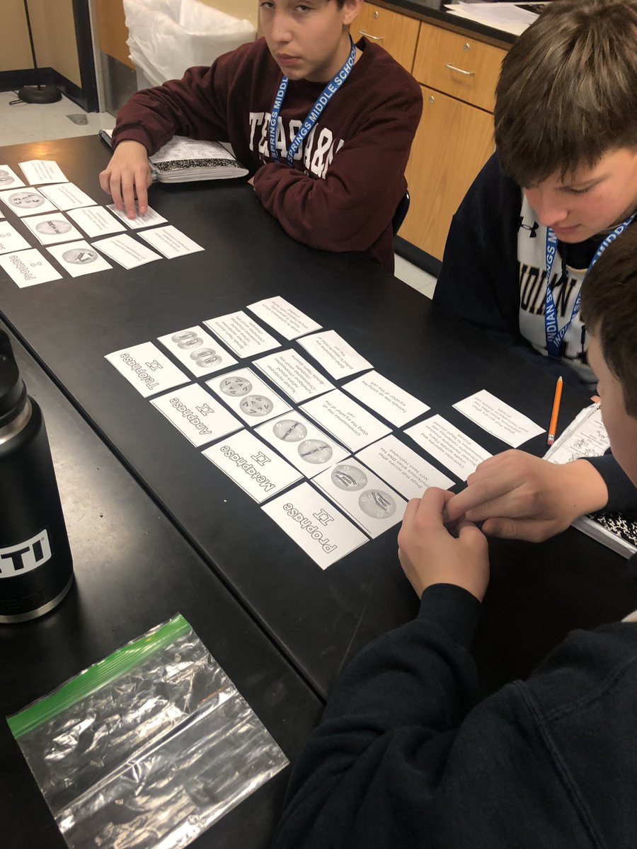 Diana Mitchell tweet media