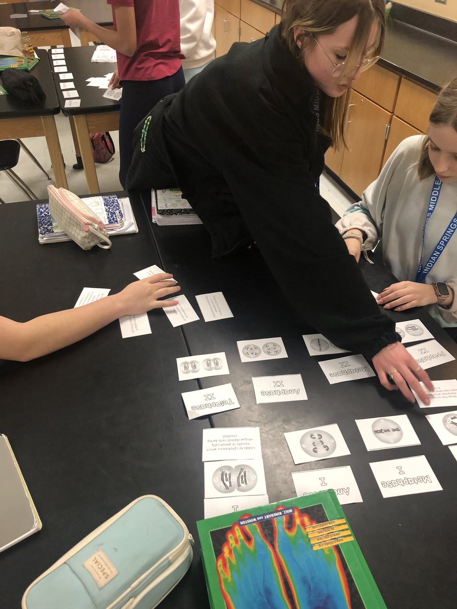 Diana Mitchell tweet media