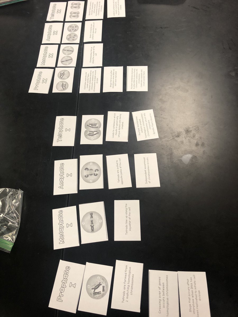 Diana Mitchell tweet media