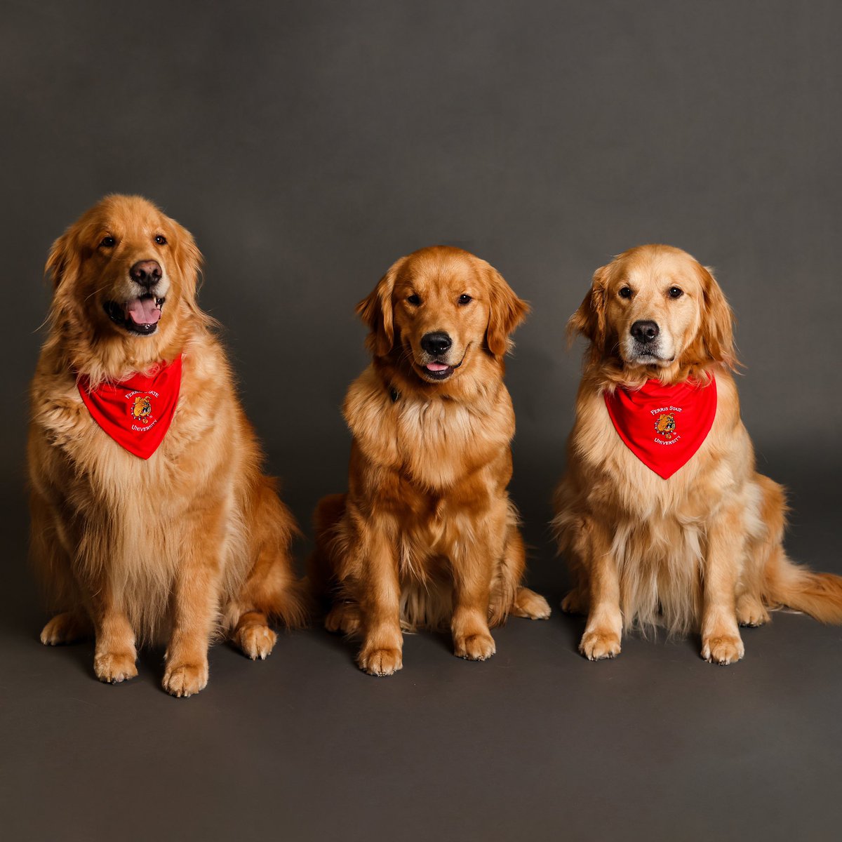 kk samluk tweet media