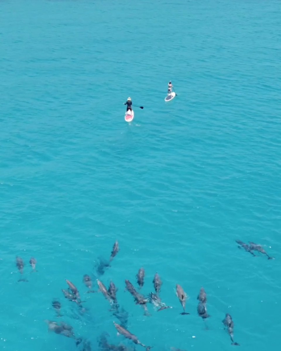 豪WA、マーガレットリバー！ 