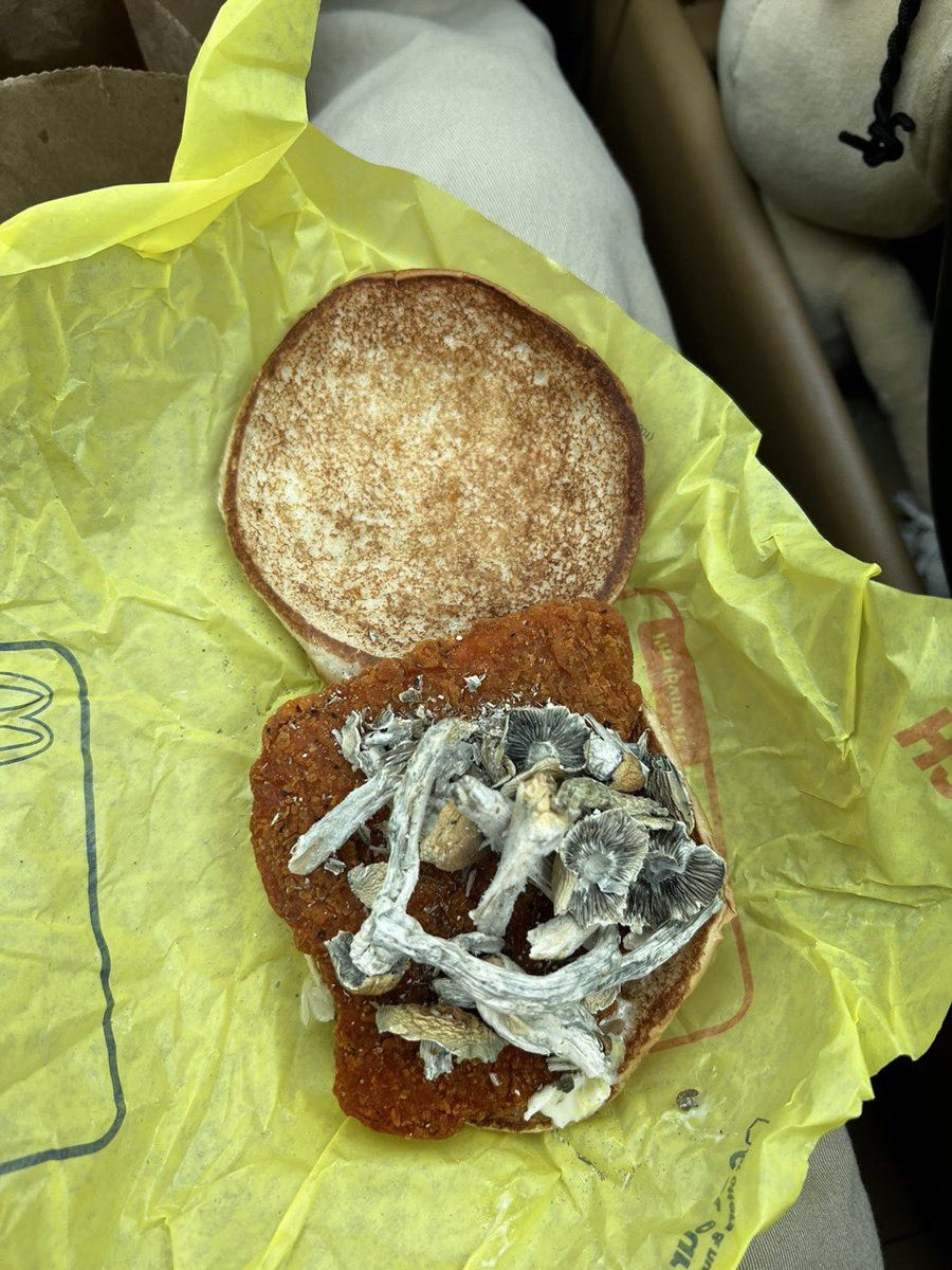 i just ordered some McDonald’s