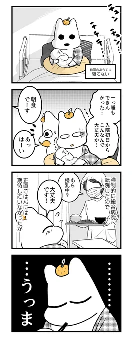 🍊🍊🍊ポンコツぽんかん育児録🍊🍊🍊
お産入院編4
#産後 #妊娠 #出産 #育児 #漫画が読めるハッシュタグ 