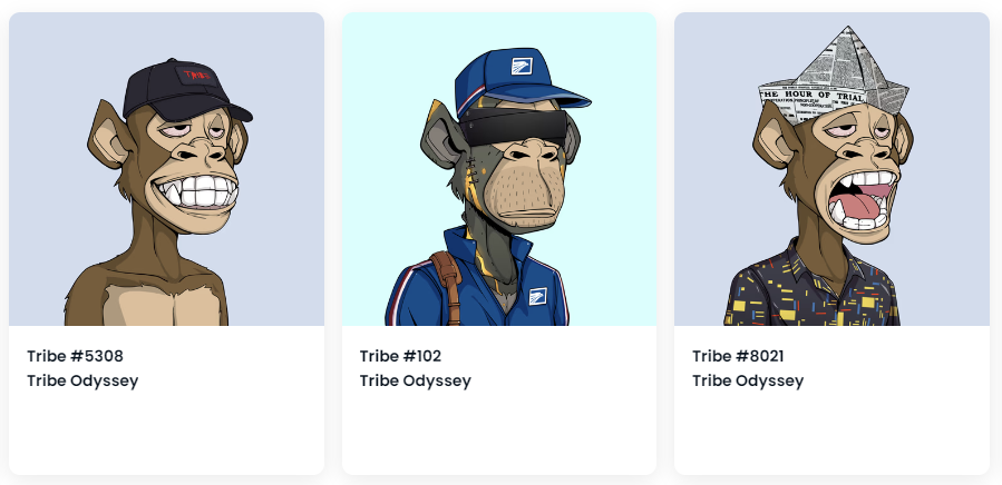 THR33NFT's tweet photo. I'm looking to sell all 6 of these.  Hit me up if you are interested with a fair offer. Thanks! #0xApes #TRIBΞ https://t.co/GTCJkwuCOB