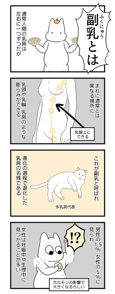 🍊🍊🍊ポンコツぽんかん育児録🍊🍊🍊
お産入院編5(1/2)
#産後 #妊娠 #出産 #育児 #漫画が読めるハッシュタグ 