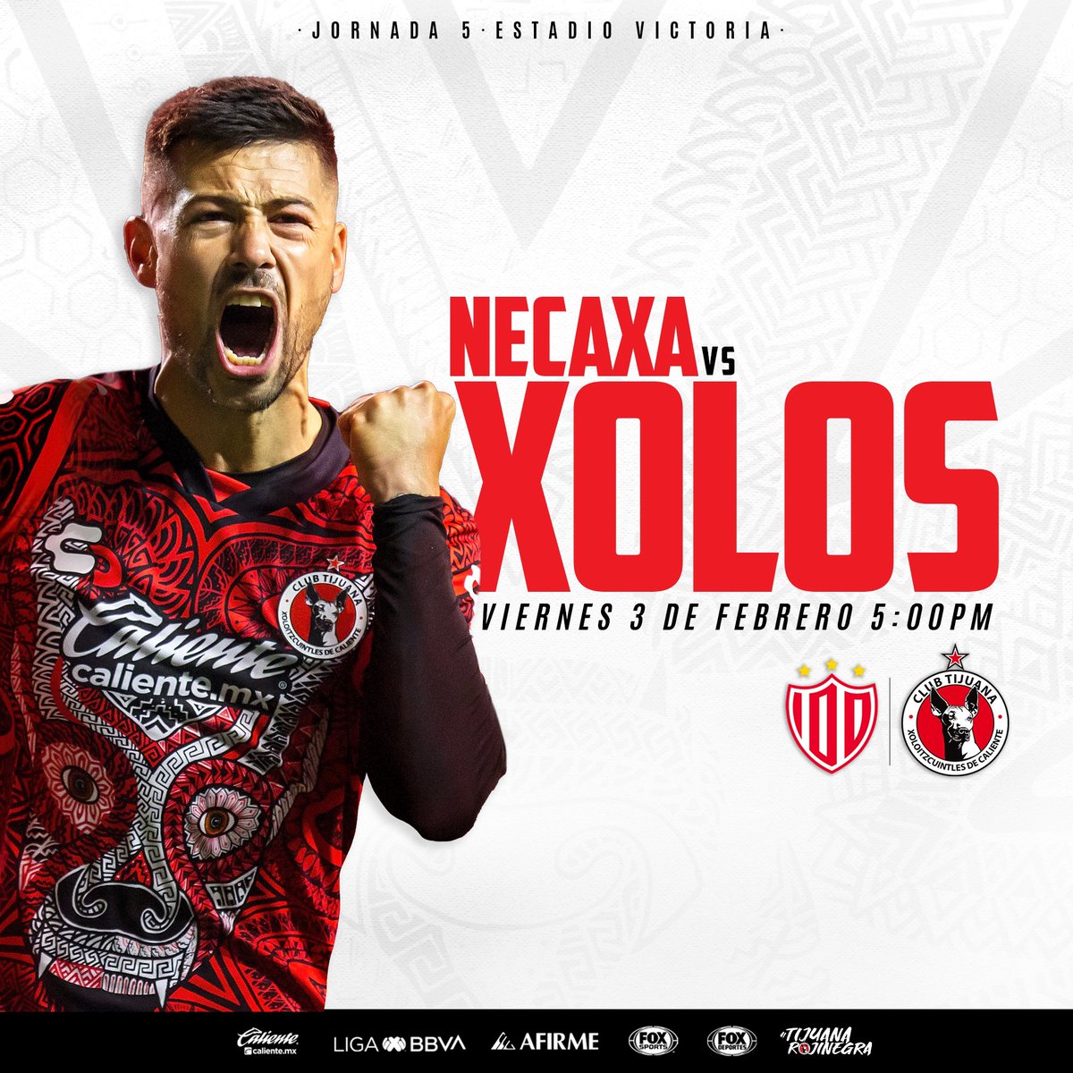 Xolos's tweet photo. ¡Con todo Perro de mi Vida! 🐕

#TijuanaRojinegra 🔴⚫️ https://t.co/2QpTPhER22