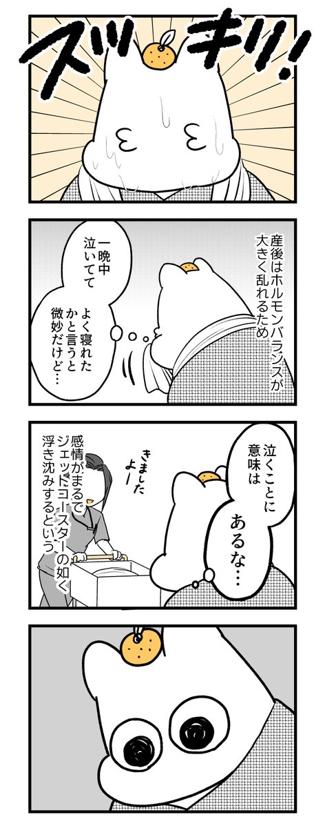 🍊🍊🍊ポンコツぽんかん育児録🍊🍊🍊
お産入院編10
#産後 #妊娠 #出産 #育児 #漫画が読めるハッシュタグ 