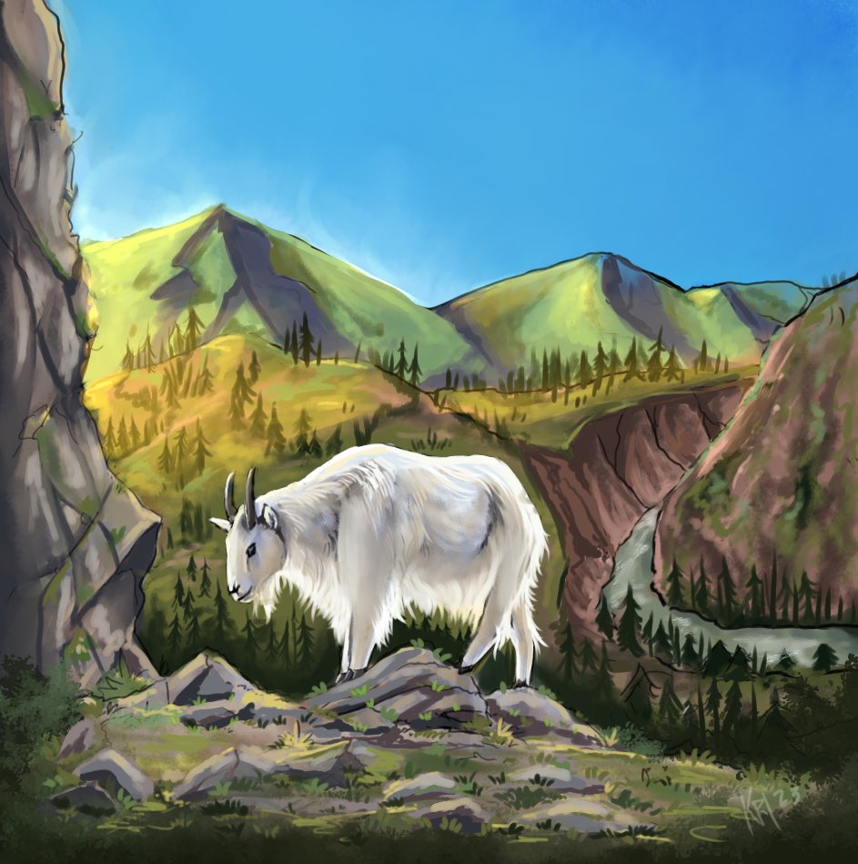 Isbā - Goat //Mountain Goat 🐐
Back home 🌿
-
#nature #illustration #nativeartist #artwork #art #canyon