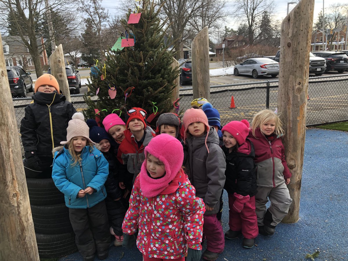 Working together to decorate our xmas tree… the students got the Christmas tree to stand without any adult intervention #letthemtry #capable  #outdoorlearning #bringinsideoutside #childledlearning #howdowereachthetop #hcdsbk ⁦@CommissoLisa⁩ ⁦@kindie101⁩