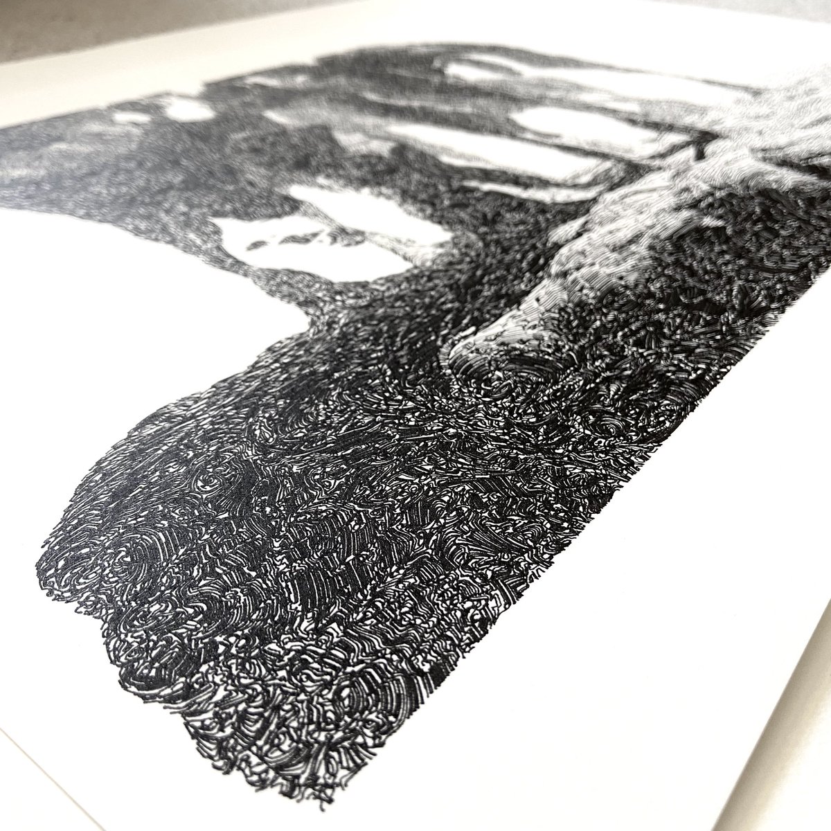 studiostrauss's tweet photo. Plot for Geomorphism #173 by @piterpasma is done. Seeing it being plotted over 25 hours was absolutely amazing. Especially getting a unique perspective to the algorithm and art. Now to get it framed. https://t.co/DKuytTlAxf