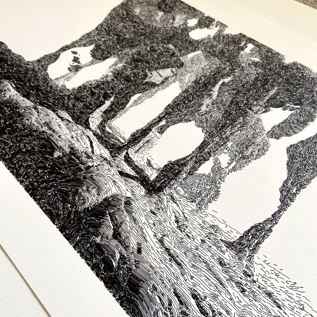 studiostrauss's tweet photo. Plot for Geomorphism #173 by @piterpasma is done. Seeing it being plotted over 25 hours was absolutely amazing. Especially getting a unique perspective to the algorithm and art. Now to get it framed. https://t.co/DKuytTlAxf